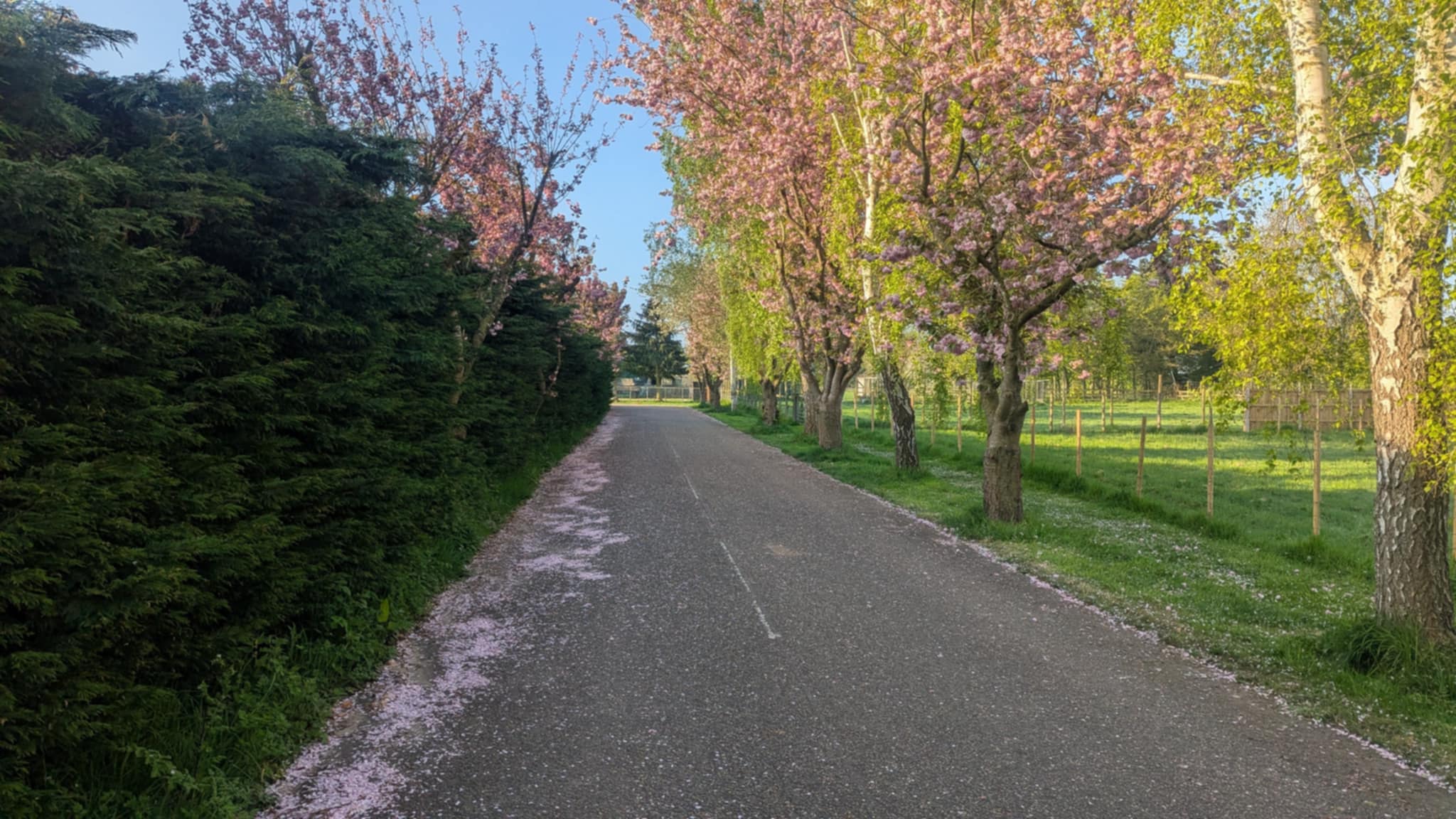 Industrial Property View 2